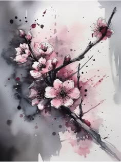 Beginner Lessons